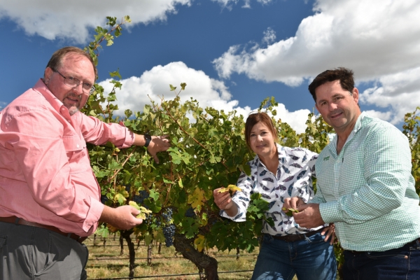 viticulture_independent_agronomist_bayer_rep viticulture_independent_agronomist_bayer_rep